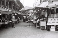 FH000006