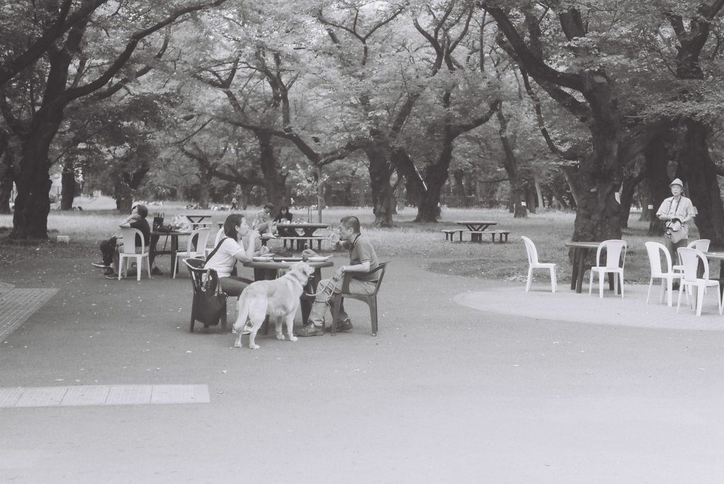 IMAGE010