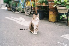 IMAGE012