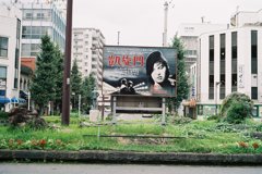 IMAGE003