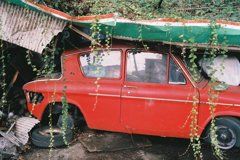 IMAGE010