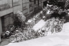 FH000019