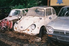 IMAGE005