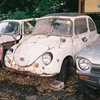 IMAGE005