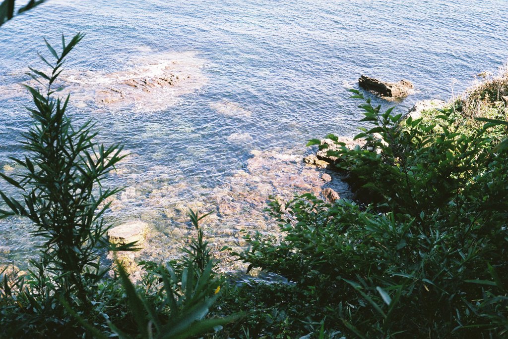 IMAGE002