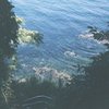 IMAGE006