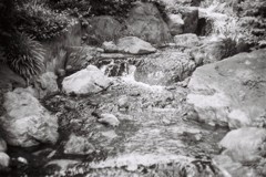 FH000004