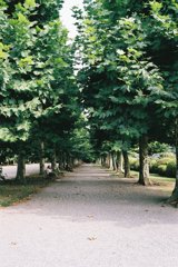 IMAGE004