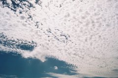 IMAGE008