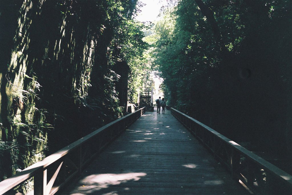IMAGE017