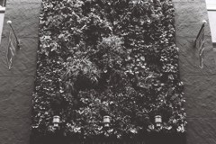 FH000016
