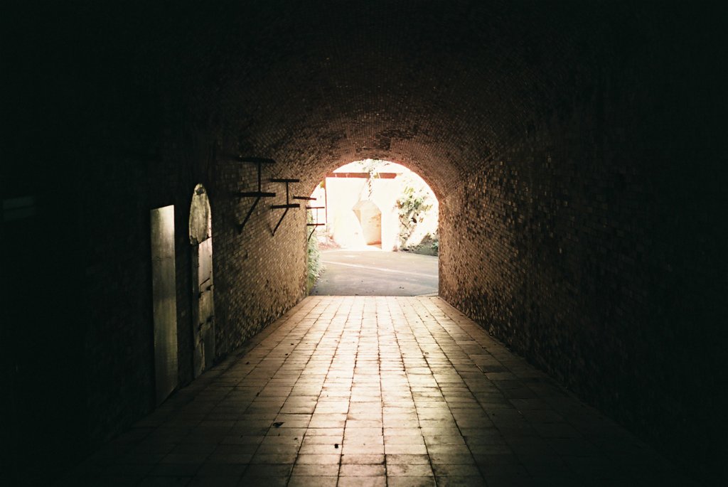 IMAGE010
