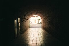 IMAGE010