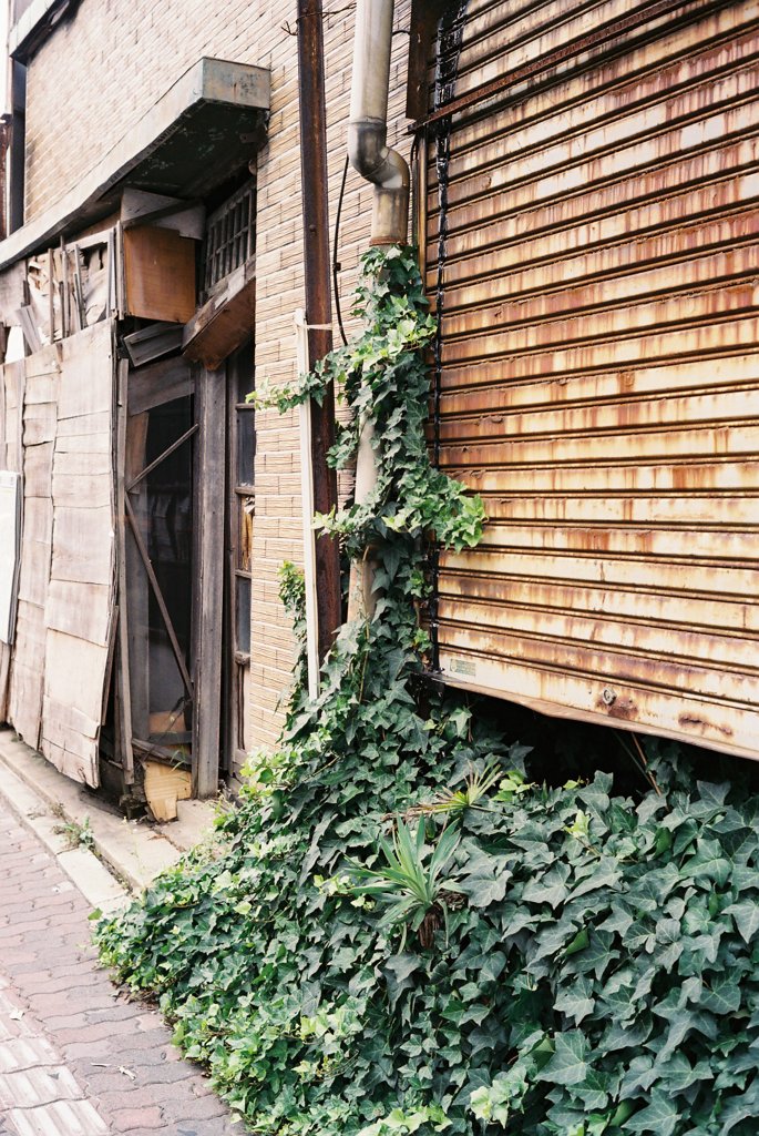 IMAGE028