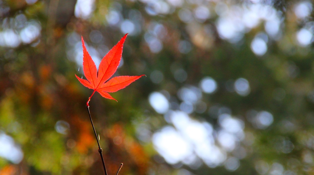 まだ落ちへんでぇ