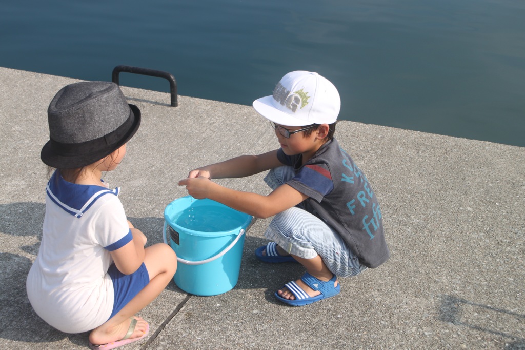 夏の想い出。
