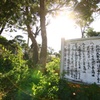 長寿の心得