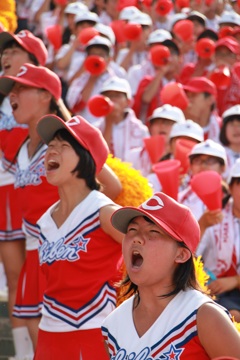 アルプスからあの人へ・・・。