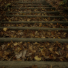 闇の紅葉階段