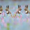 見つめ合う♥