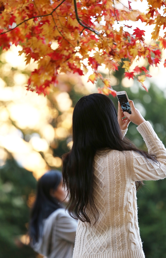 紅葉に魅せられる貴女