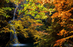 妖艶なる色彩の滝