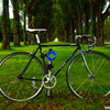 DE ROSA NeoPRIMATO