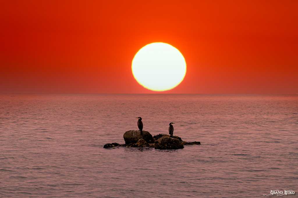 無人島