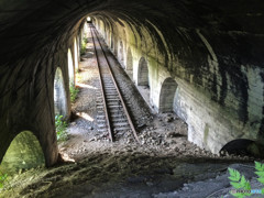 栗山トンネル征服（＾ω＾）