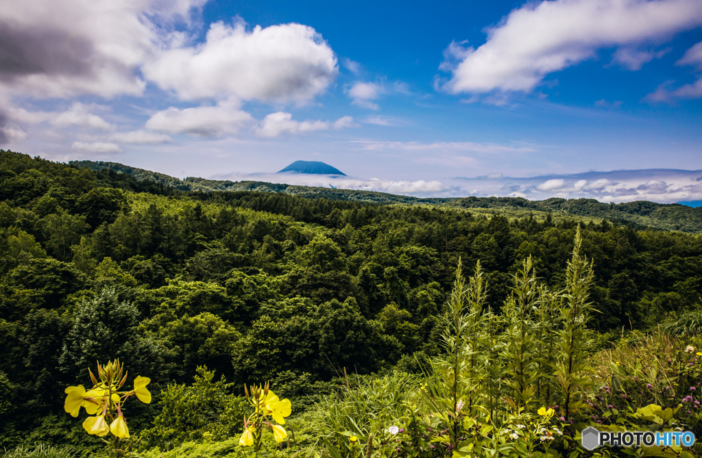 貌を出す羊蹄山 