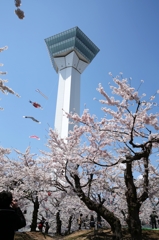 函館五稜郭公園　魅惑のタワー