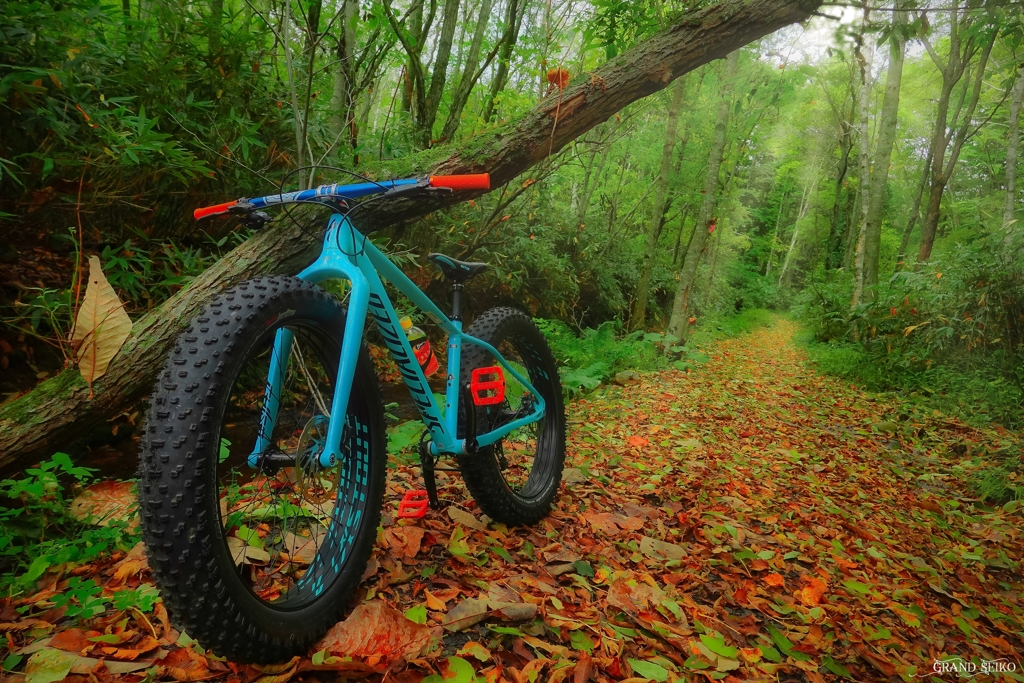 ファットバイク登山！！！！