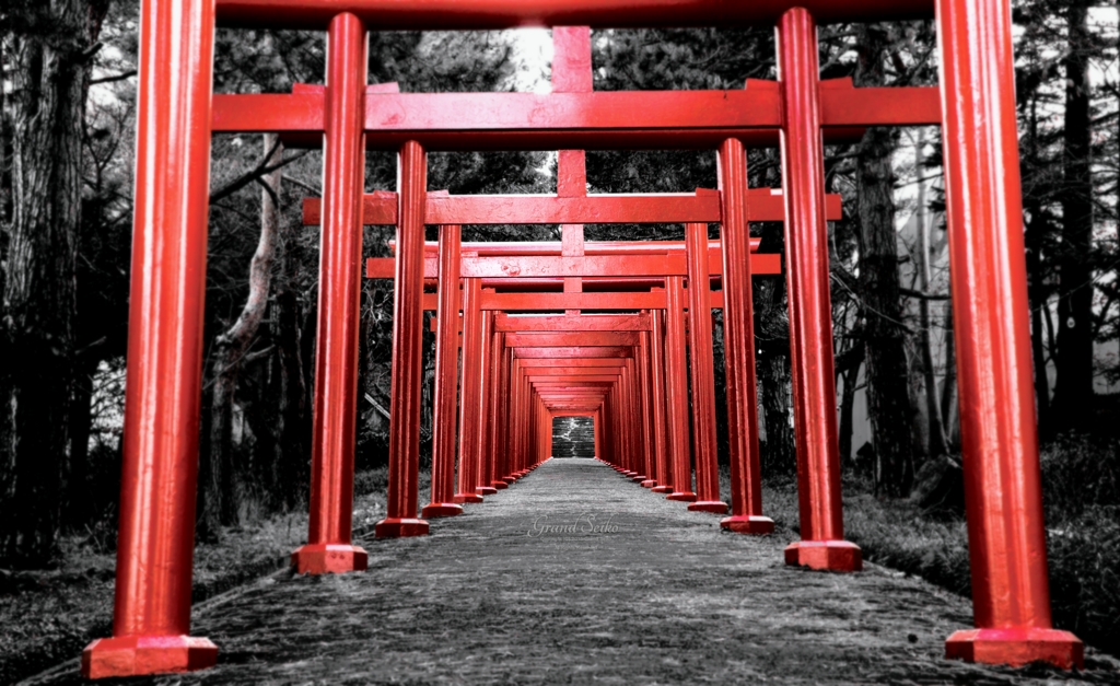 紅き道