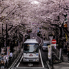 桜坂