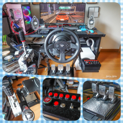 やっぱり Thrustmaster