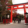 下鴨神社1