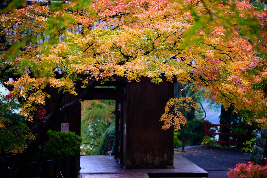 大興善寺