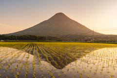 開聞岳