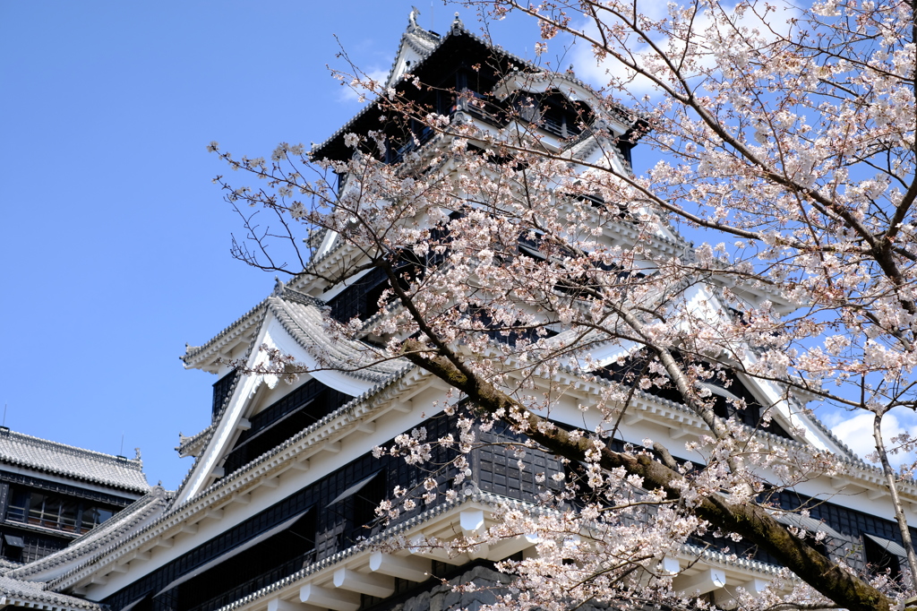 熊本城