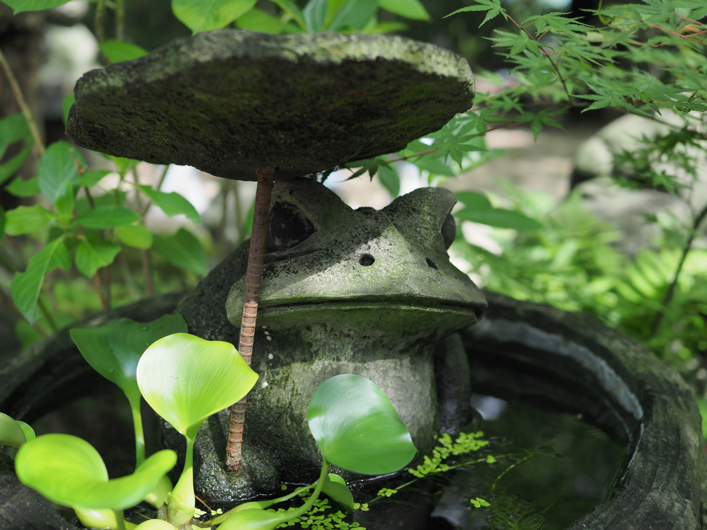 かえる寺