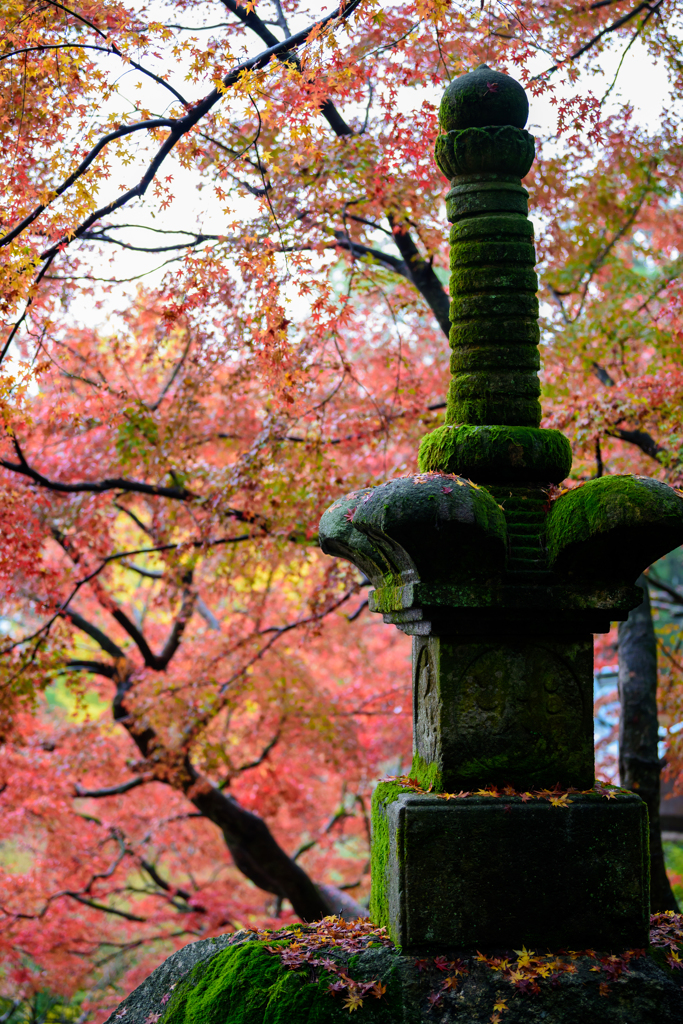 大興善寺