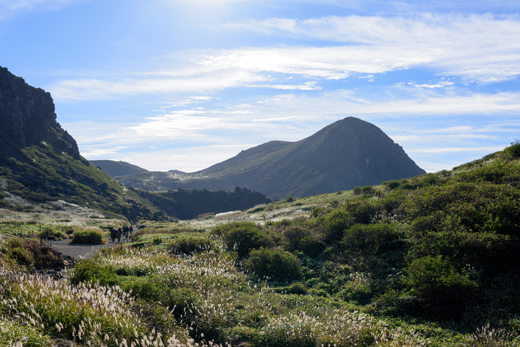 登山道