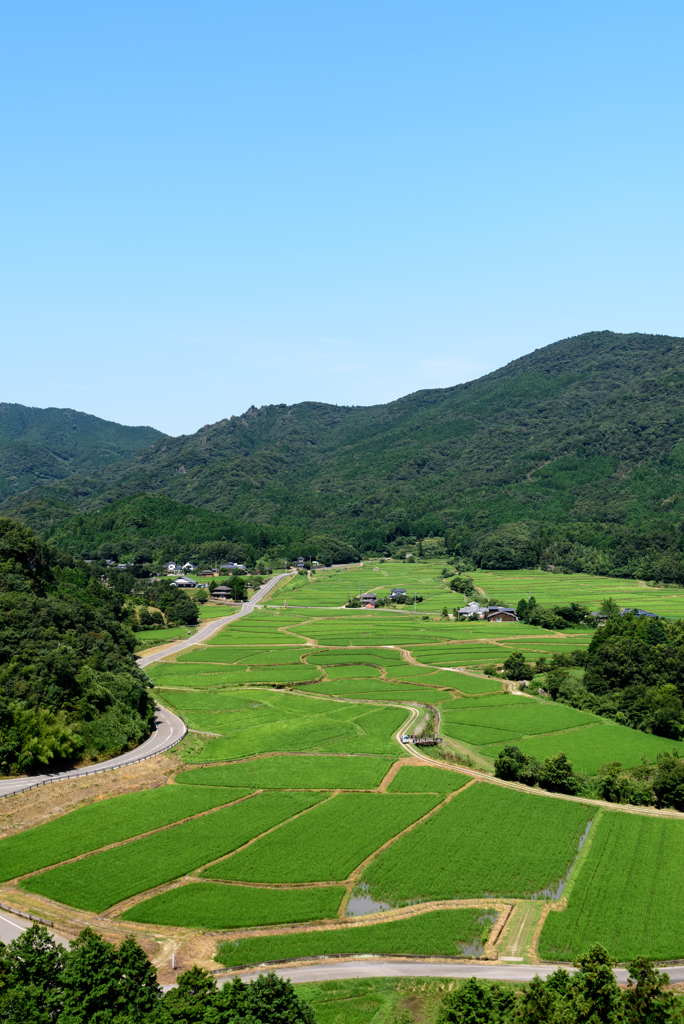 田染荘