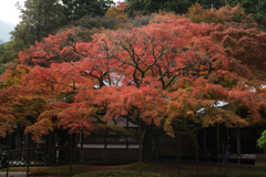 雷山千如寺