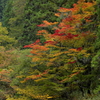 斜彩