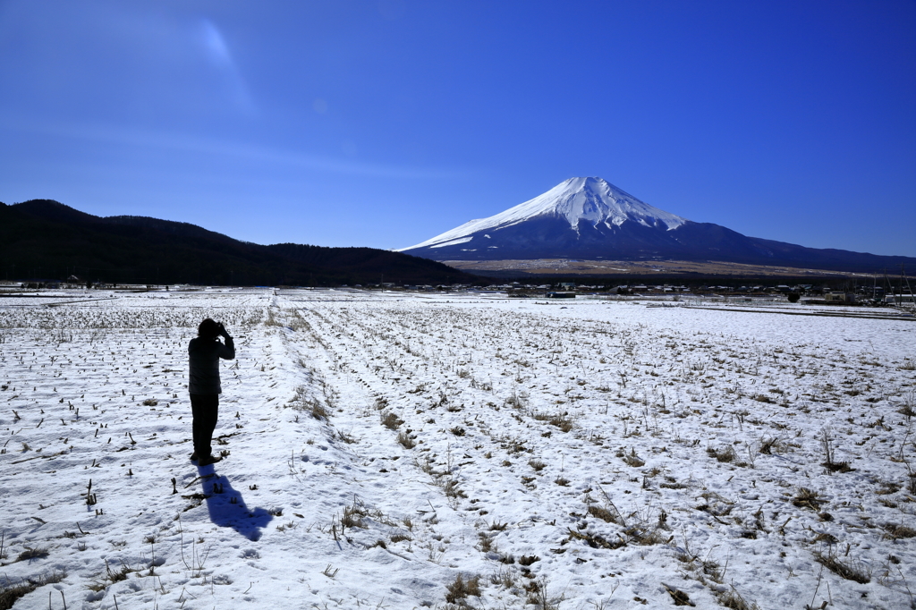 魅せられて