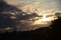 DSC_0287