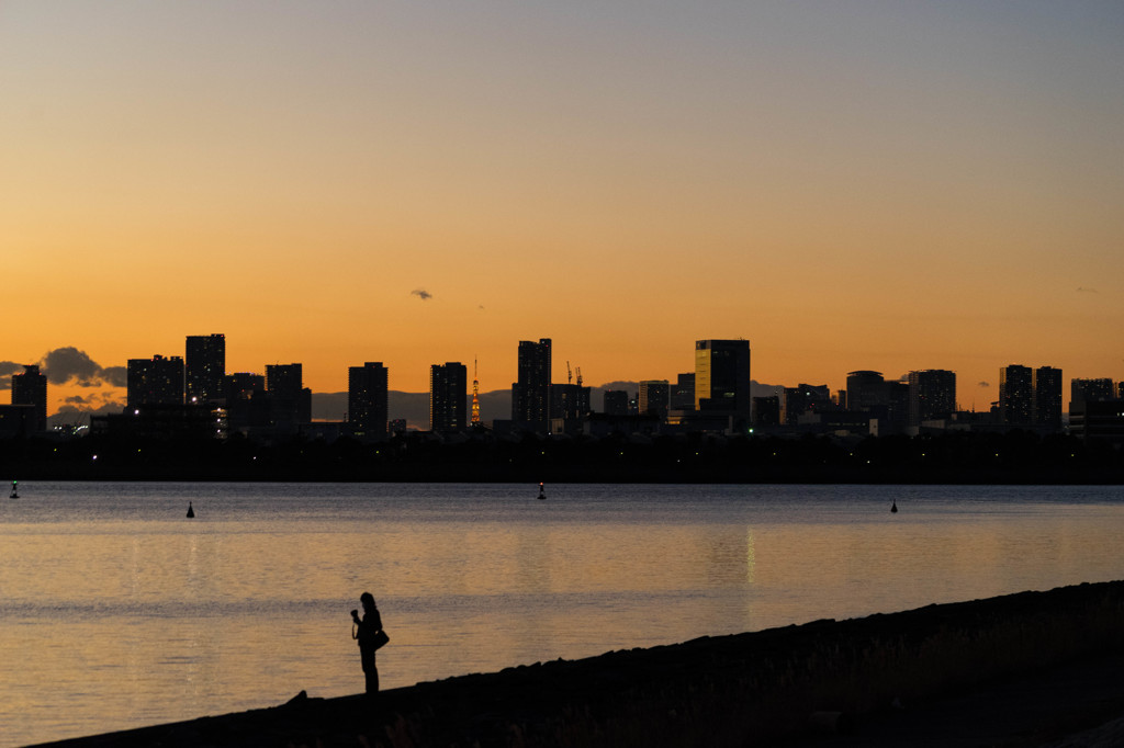 東京湾景