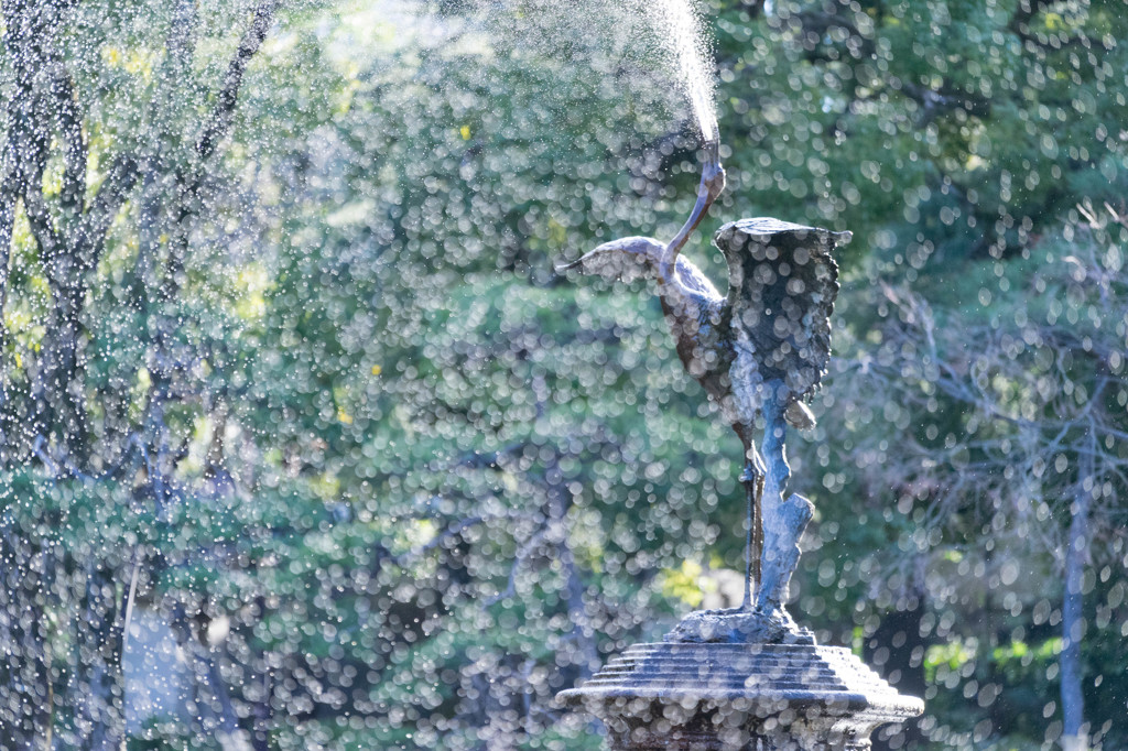 Water Magic