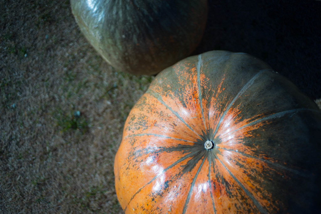 big pumpkin